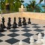 The Tropical Life Size Chessboard